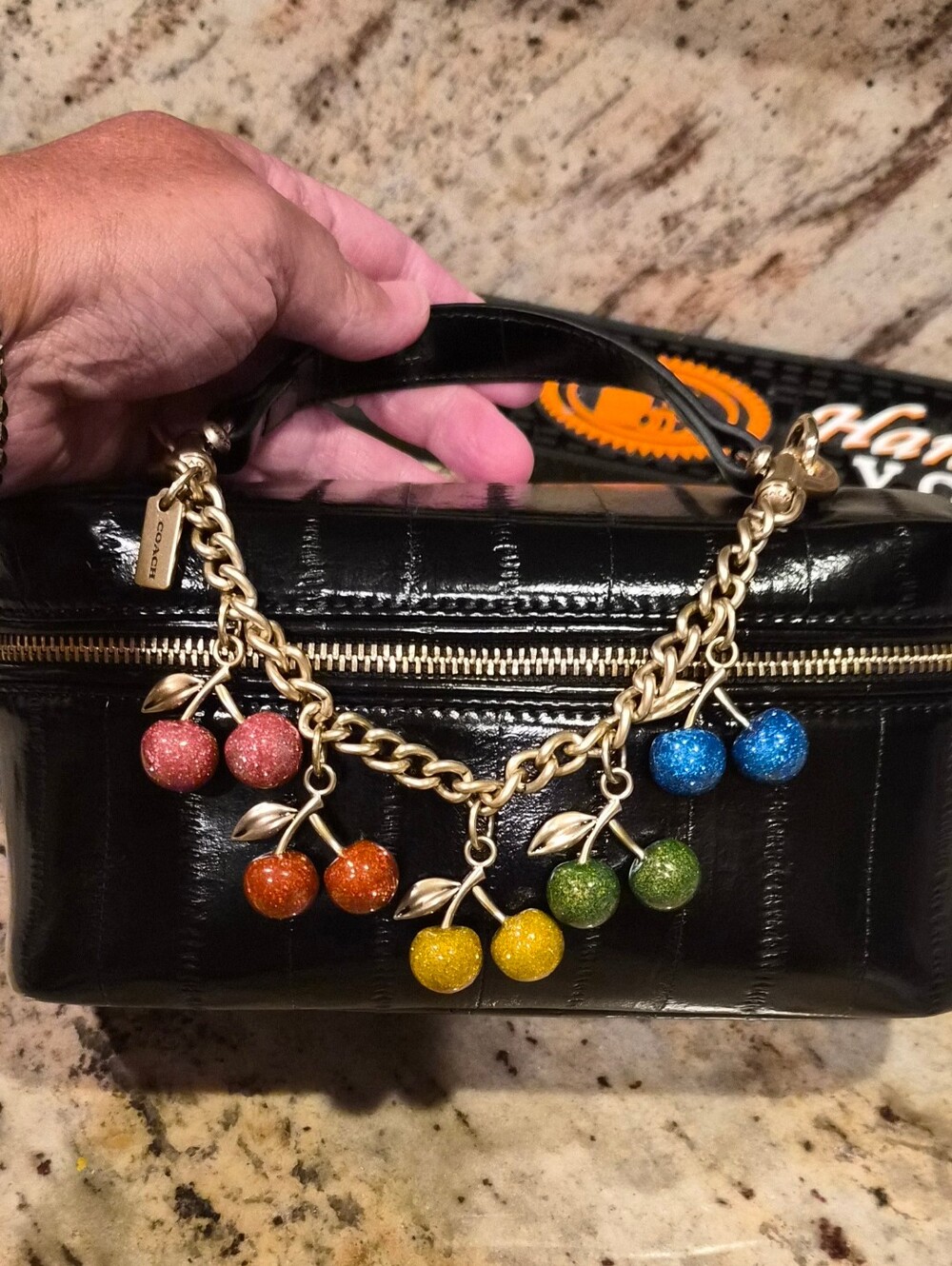 Coach Brand New Rainbow Cherry Chain 🚨 *Purchase includes Black Train Case* 🚨